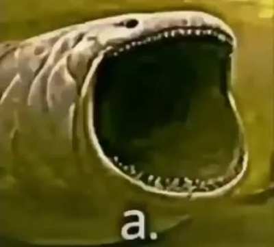 a.