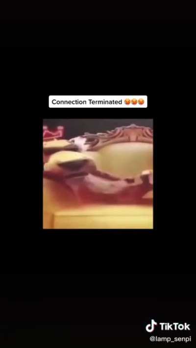 connection terminated 🥵🥵🥵