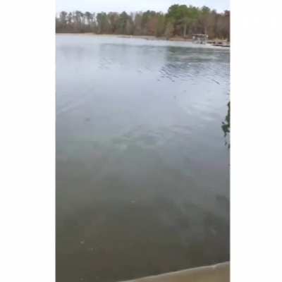 That’s a nice fish but his wife is the real catch