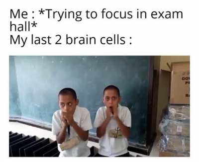If only my last 2 brain cells were this talented