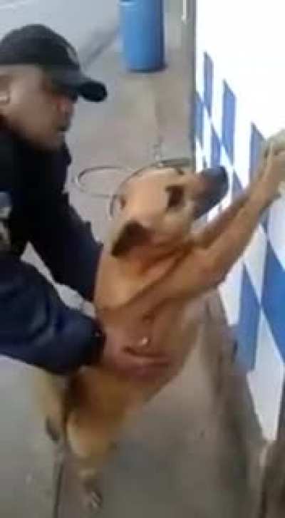 Police finally caught the bad boy