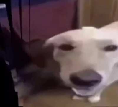 😳