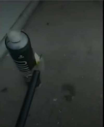 Firebombing a school for fun.