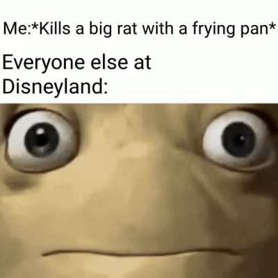 Me prohibieron la entrada a Disneyland.