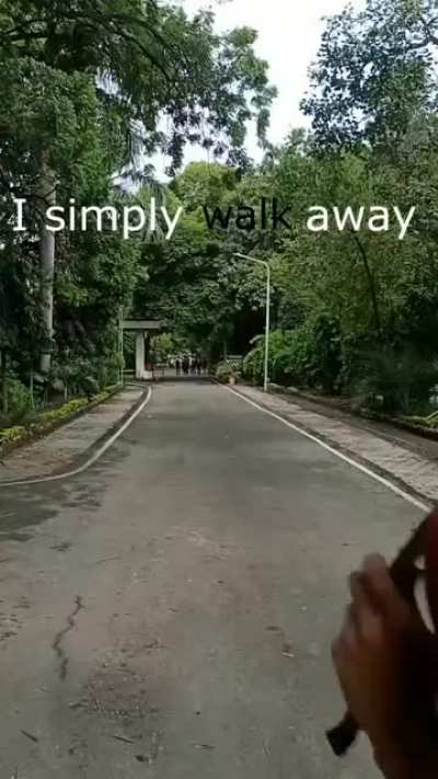 Chad Move