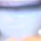 That swallow