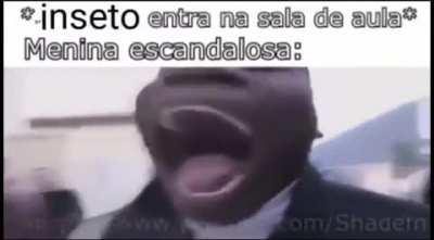 Título foi matar o inseto
