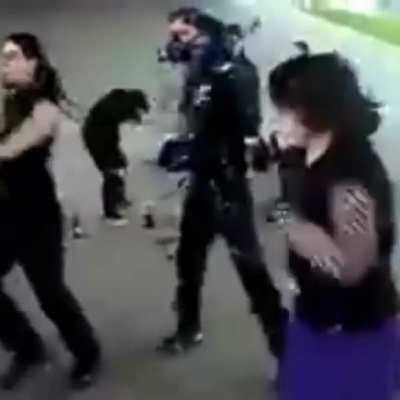 Só os loucos sabem