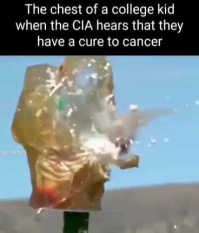 ripbozo