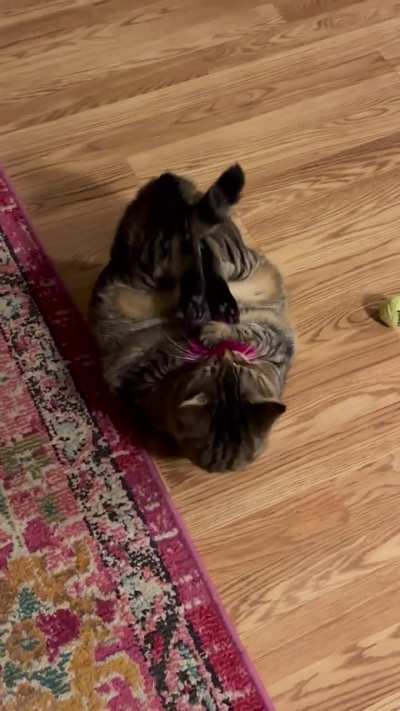 Poe and her fluffy keychain