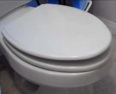 Moldy Toilet