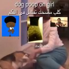 dog poop on girl bruh dog fard هذا حرام حتى لا أصدقه !! 😍😏