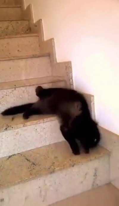 Cats are liquid!