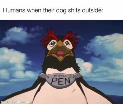 Dogshittingonthefloor