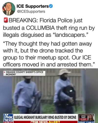 Landscapers