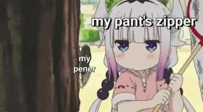 A requiem of pain