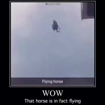 Wow