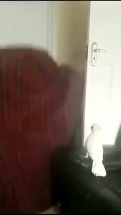 AAAAAAAAAAA