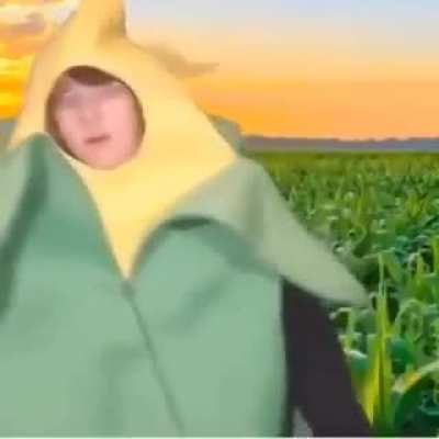 Corn.