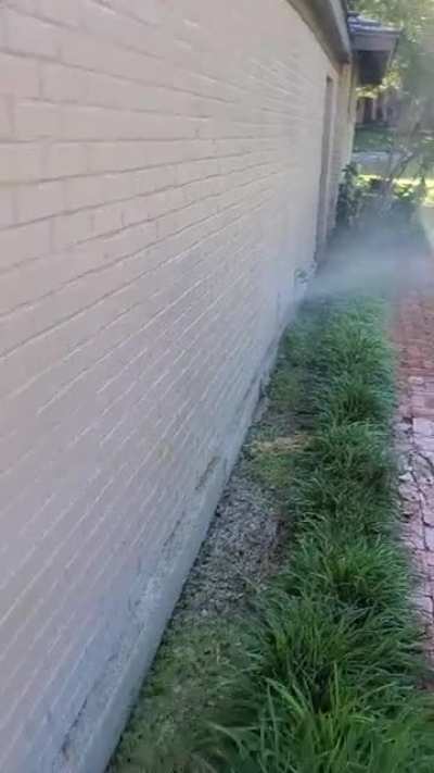 On today's episode of WTH were they thinking?! Sprinkler heads in the wall..