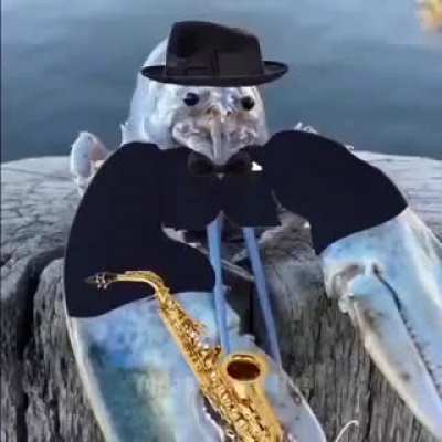 Jazzy Lobster