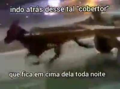 Quem esse que fica enfisa de mim também?