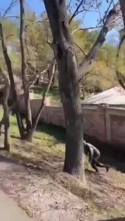 Drunk soldier