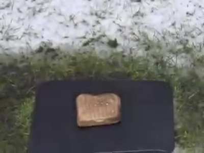 Сколько счастья в одном видео
