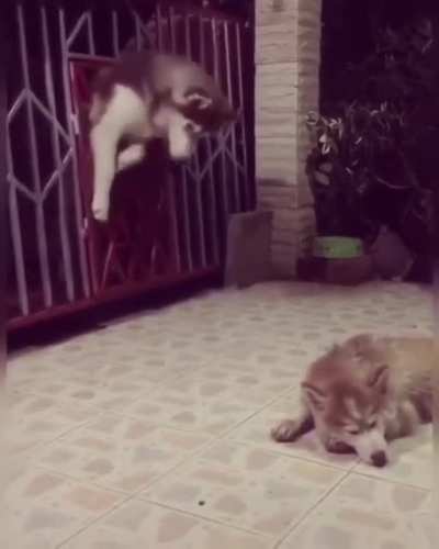 Maybe Maybe Maybe