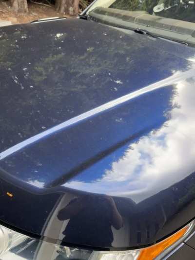 2016 Range Rover Td6 whining/humming noise