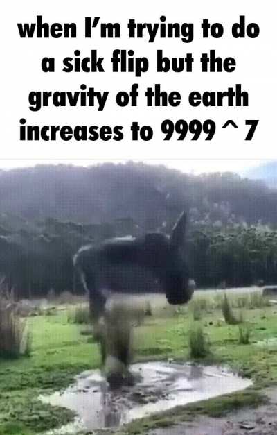 Rule