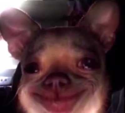…