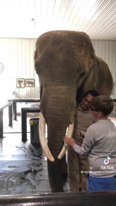 Helping a blind lad meet and elephant