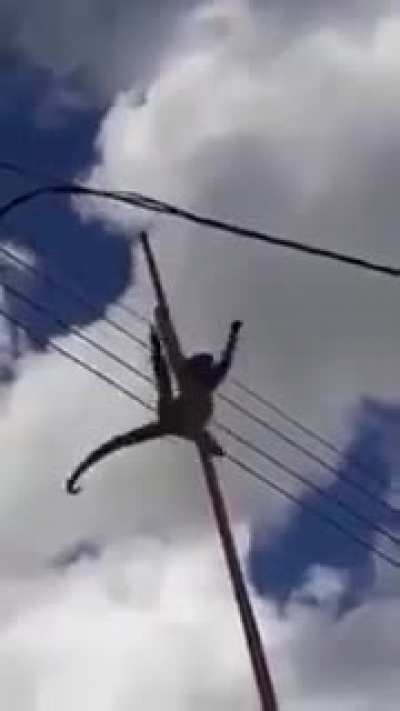 The poor monkey tho...
