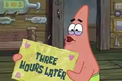 sponge
