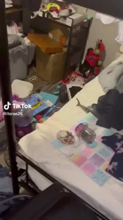 faithdoesntclean..this is her Littles bedroom..