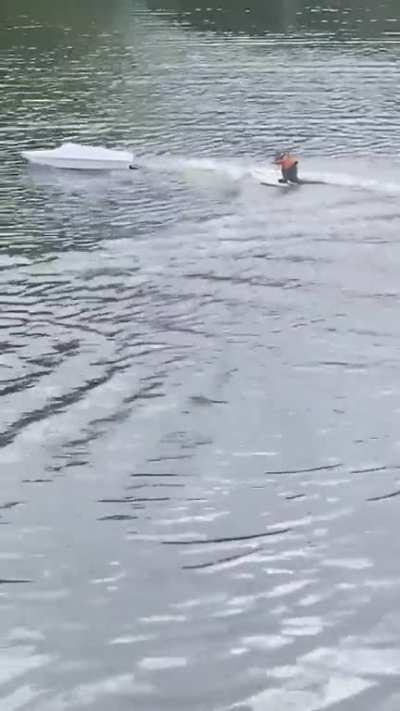 Super squirrel to the rescue