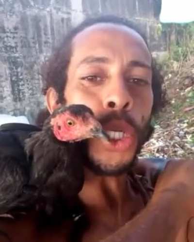 Papagaio