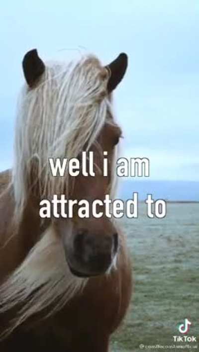 Never be afraid of the horse you really are