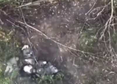Ukrainian drone drops grenade on large group of Russian soldiers near Bakhmut