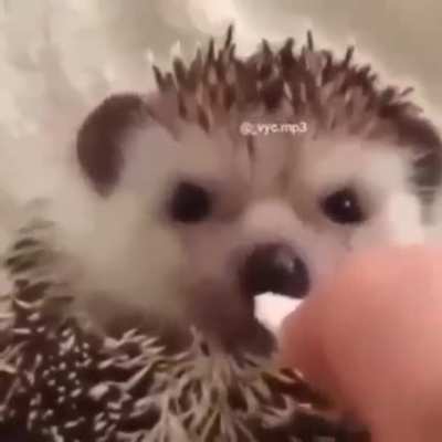 Miren que bonito
