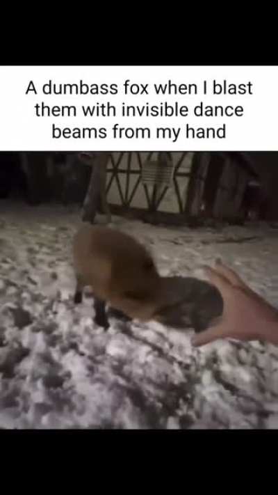 Fox when dance beams from my hands