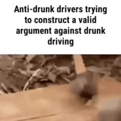 stupid