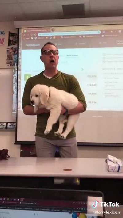 Yesyesyesyesno