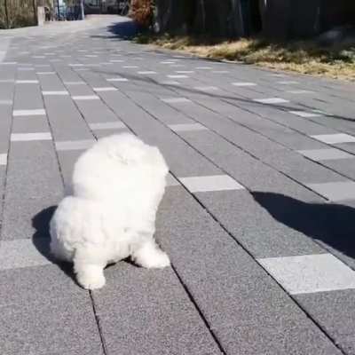 Чёт ветре<wbr>но...