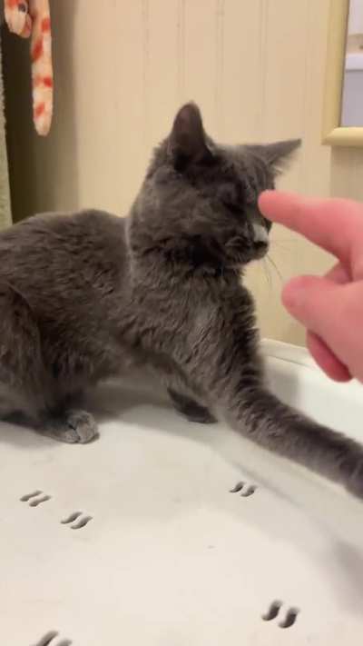 Please do not the nose