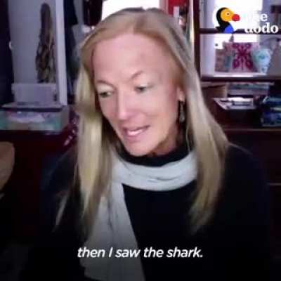 Humpback whale saves marine biologist, Nan Huaser, from a shark