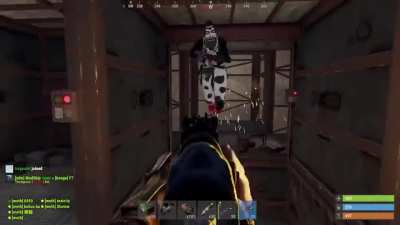 gaming moment