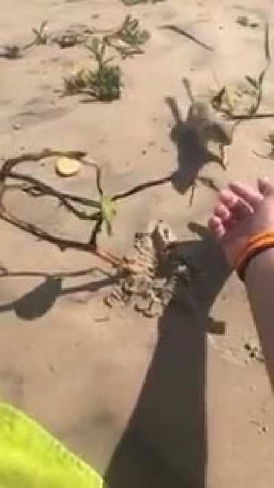 When nature fights back