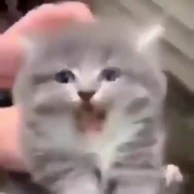 he's not happy